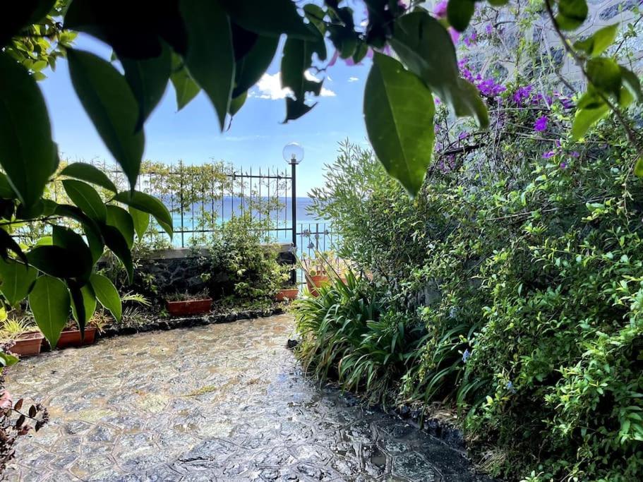 Ocean View Villa With Fast Wi-Fi And Elevator To Town 莱万托 外观 照片